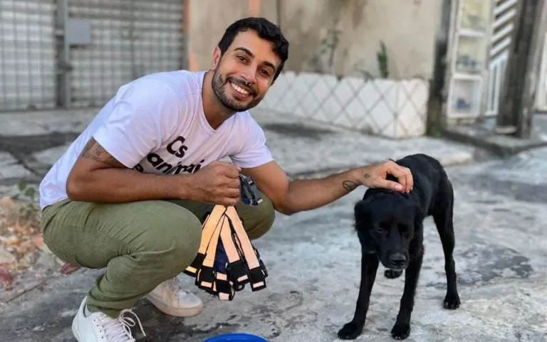 Cães de rua recebem coleiras reflexivas para evitar acidente de trânsito em Fortaleza