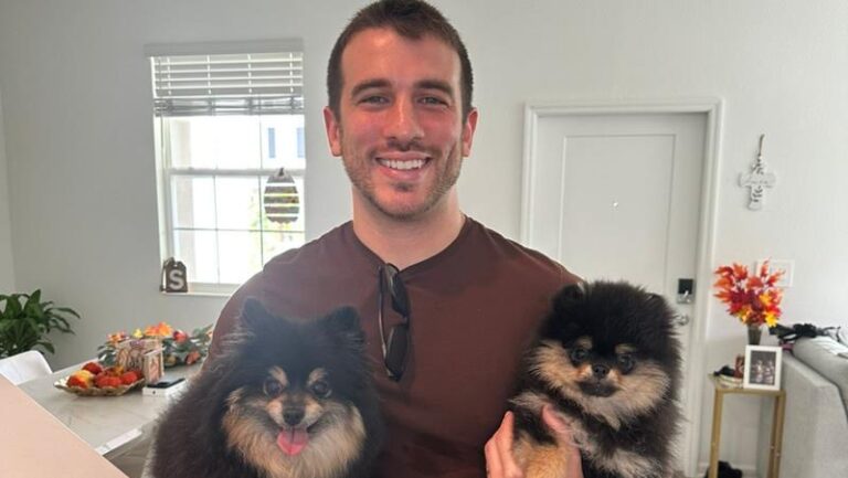 O Mercado Internacional de Adestramento: Como Bernardo Adestra se Prepara para Conquistar os EUA