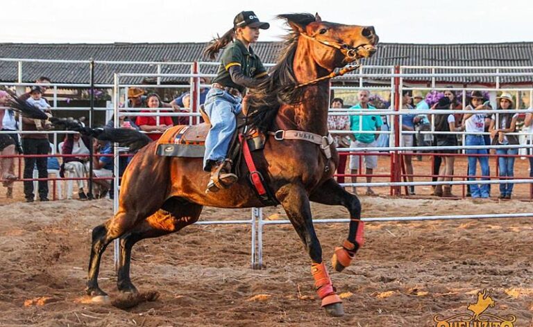 Cantora Júlia Neri brilha dentro e fora da arena no 2º Team Penning do Rancho Meira!