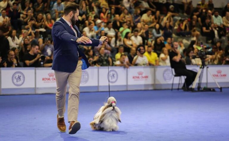 Mais de 1.500 cães confirmados na Exposição Américas e Caribe Rio 2026