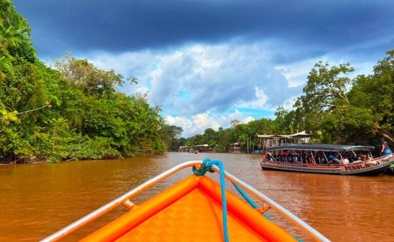 Programa Raiz Empreendedora chega a Tabatinga (AM) e Marabá (PA) para fortalecer negócios da bioeconomia amazônica