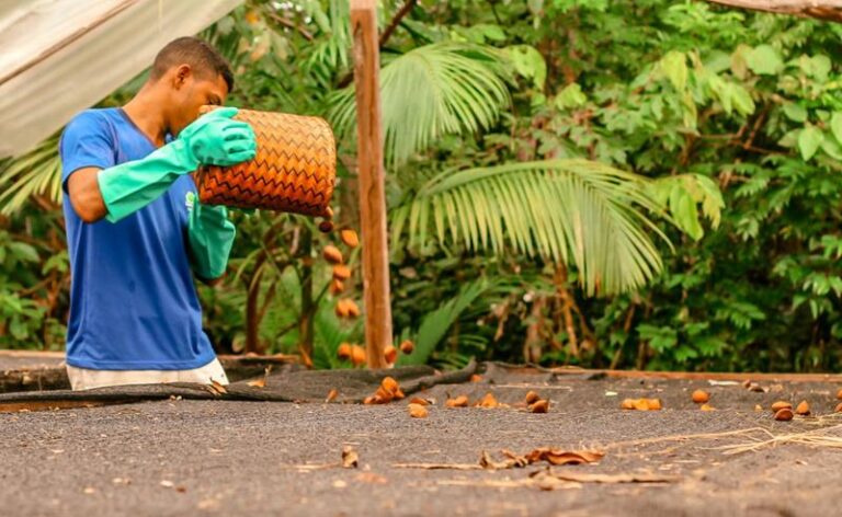 Edital de Apoio a Coletivos da Sociobioeconomia divulga resultado final com cinco iniciativas selecionadas na Amazônia Legal