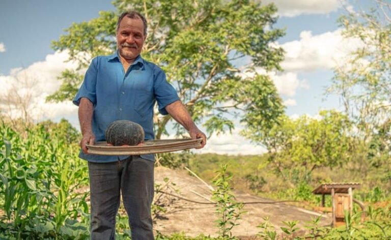 Com contribuição da ASA, Brasil retoma compromissos internacionais contra a desertificação