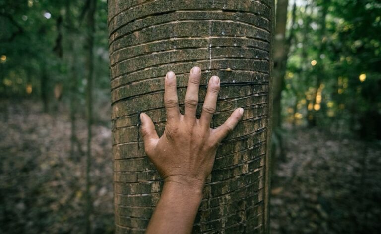 Mais de 40 organizações lançam manifesto pela sociobioeconomia