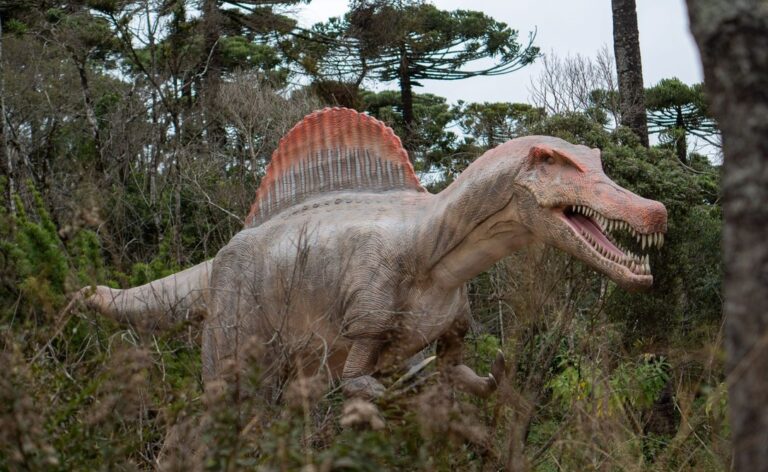 Dos R$ 50 milhões investidos aos 170 mil m²: os números que traduzem o novo parque Terra dos Dinos de Campos do Jordão