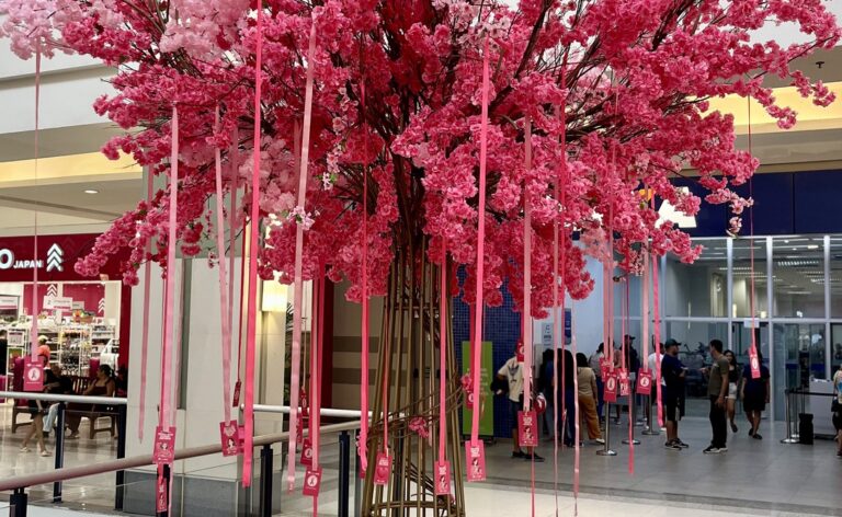 Árvores rosas em shoppings de Goiás chamam atenção para os 2,1 mil casos de câncer de mama previstos no estado